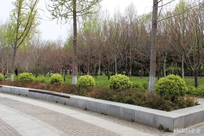 开云体育 开云官网园林绿化植物材料的搭配组合应用和修剪管理(图5)