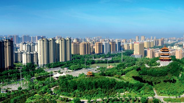 【创城在行动 攻坚决胜年】县园林绿化服务中心：全力做好园林绿化工作 让良好生态成为金乡“最Kaiyun 开云靓名片”(图1)