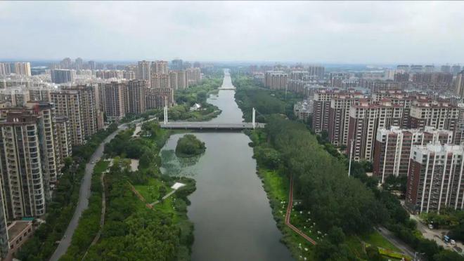 【创城在行动 攻坚决胜年】县园林绿化服务中心：全力做好园林绿化工作 让良好生态成为金乡“最Kaiyun 开云靓名片”(图6)