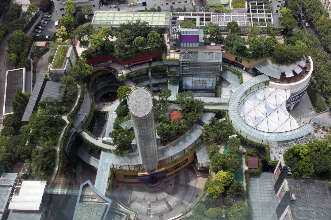 开云APP 开云官网入口赤诚为底探索从传统园林绿化迈向生态研究之路 向新同行·走近民营企业(图4)