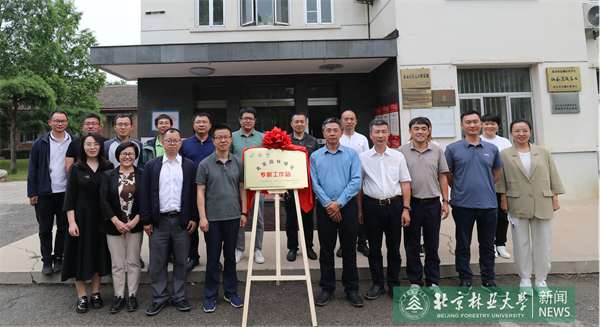 “智慧林业”北京园林绿化专家工作站挂牌成立开云 开云体育平台(图2) “智慧林业”北京园林绿化专家工作站挂牌成立开云 开云体育平台(图2)