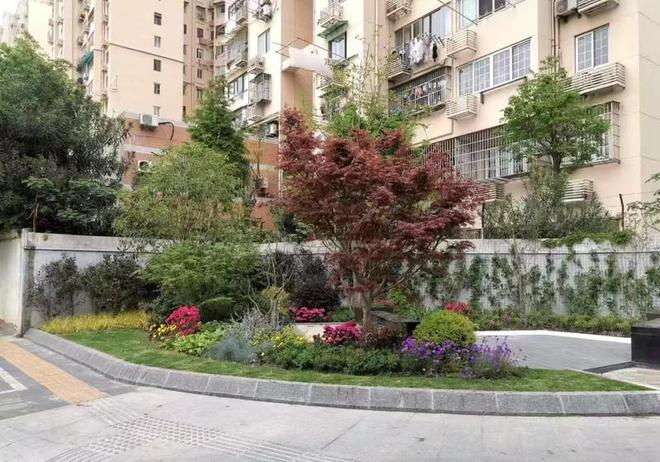 开云 开云体育官网鸟语花香如诗如画……上海这些口袋公园“治愈”你了吗？(图2)