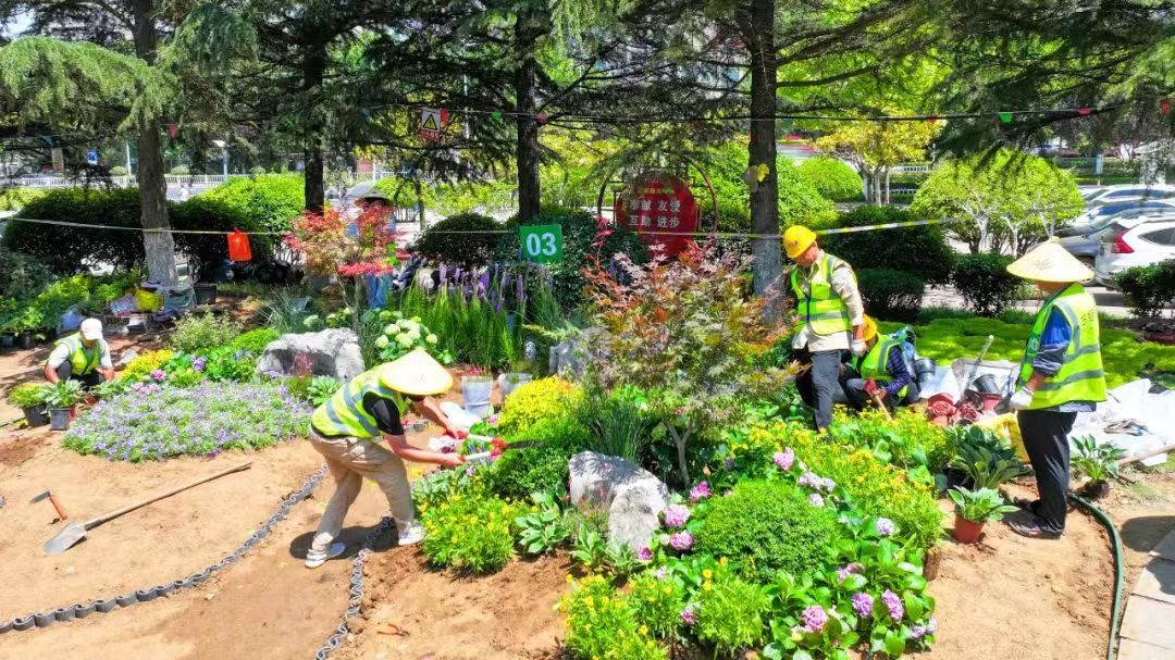 开云 开云体育平台日照市第四届园林绿化行业职业（花艺环境设计师）技能竞赛成功举办(图1)