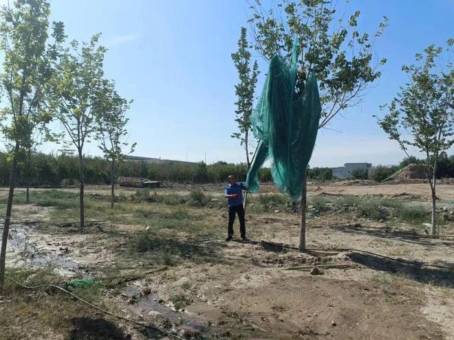 开云体育 开云官网多项举措加强园林绿化养护管理工作 全面提升城市精细化管理水平(图2)