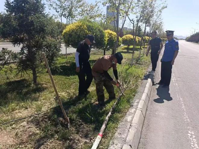 园林绿化养护中心开展清理死树枯枝行动开云体育 开云平台 消除安全隐患(图1)