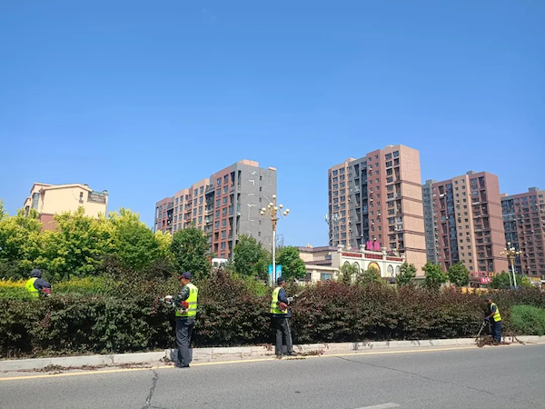 沈阳康平开云 开云体育官网县用绿色铺就城市幸福底色(图2)