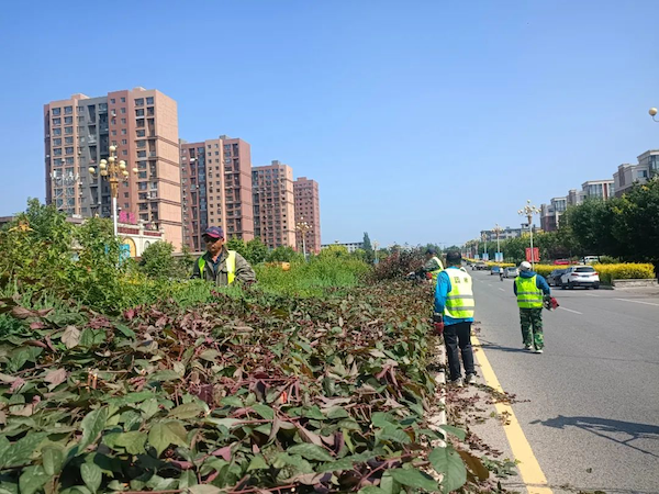 沈阳康平开云 开云体育官网县用绿色铺就城市幸福底色(图1)