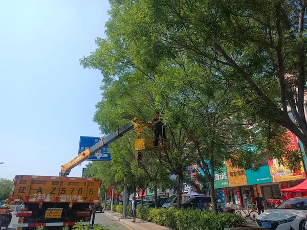 沈阳康平开云 开云体育官网县用绿色铺就城市幸福底色(图3)