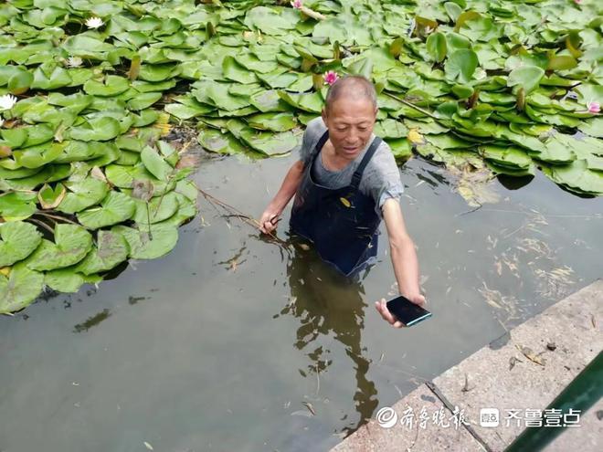 Kaiyun 开云泰安市园林绿化管理服务中心 好人好事暖人心 处处彰显园林情(图1)