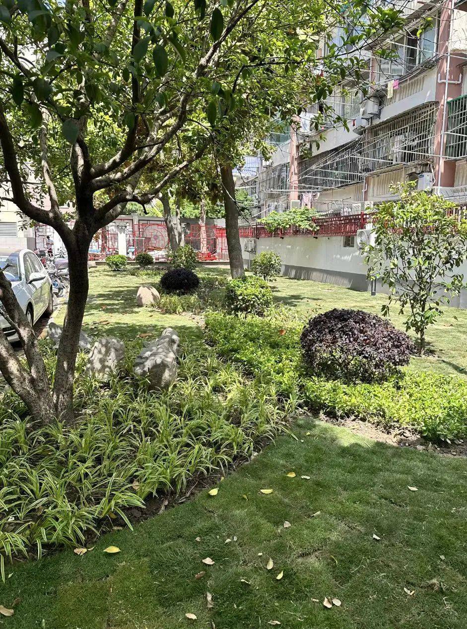 开云体育 开云平台新长宁绿化公司在这个小区建了一个“中式园林”(图5)