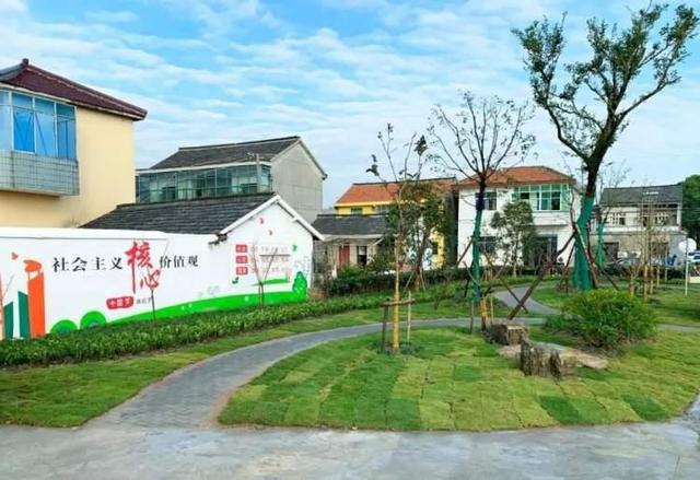 松江新增一座口开云 开云体育平台袋公园快来逛逛吧！(图1)