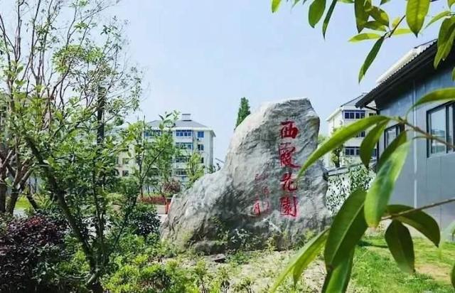 松江新增一座口开云 开云体育平台袋公园快来逛逛吧！(图2)