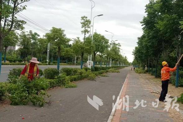 Kaiyun 开云体育孝昌：迎“烤”而战 做好夏季绿化养护管理(图2)