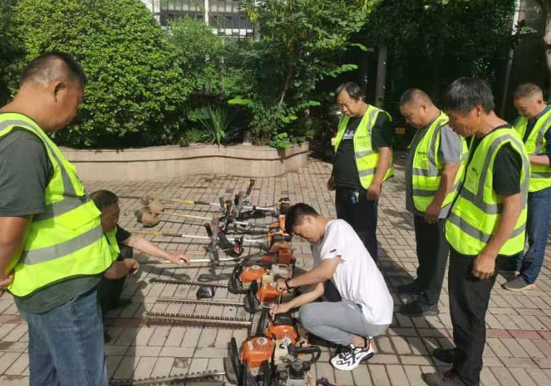 映象政务开云体育 开云官网(图1)