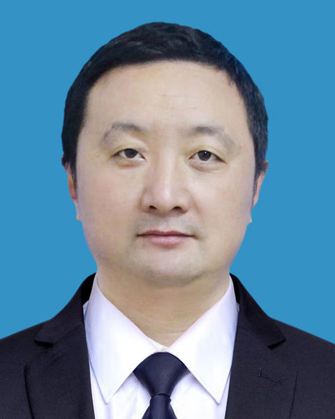 开云 开云体育官网区园林和林业绿化局(图5)