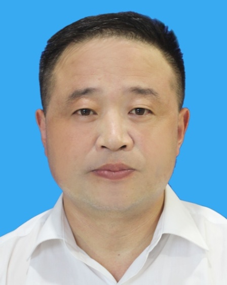 开云 开云体育官网区园林和林业绿化局(图4)