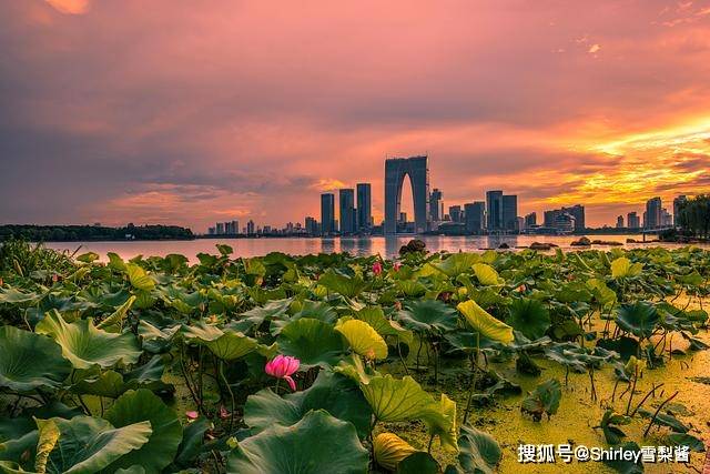 Kaiyun 开云体育中国四大园林城市绿化率最低都有40%杭州仅排第三苏州未入围(图1)