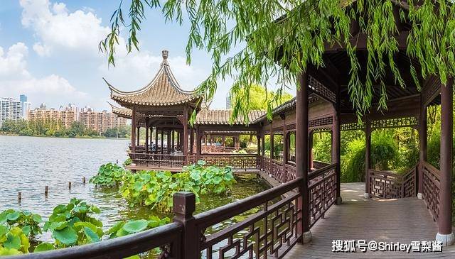 Kaiyun 开云体育中国四大园林城市绿化率最低都有40%杭州仅排第三苏州未入围(图3)