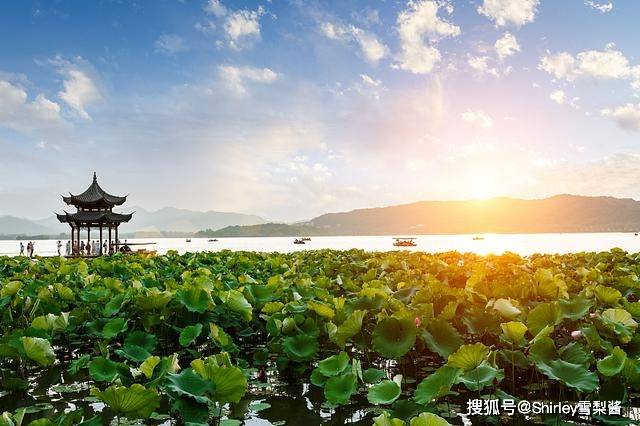 Kaiyun 开云体育中国四大园林城市绿化率最低都有40%杭州仅排第三苏州未入围(图7)