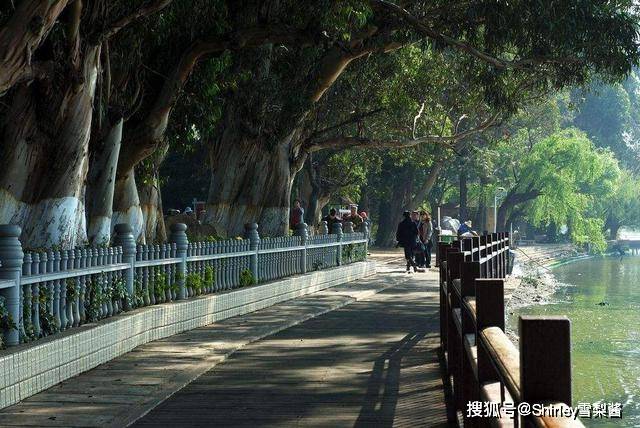 Kaiyun 开云体育中国四大园林城市绿化率最低都有40%杭州仅排第三苏州未入围(图9)