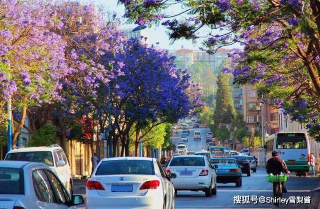 Kaiyun 开云体育中国四大园林城市绿化率最低都有40%杭州仅排第三苏州未入围(图8)