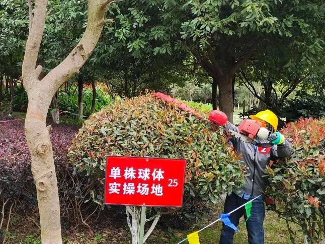 “高手”对决！园林绿化技能大赛他们各显身Kaiyun 开云手(图4)