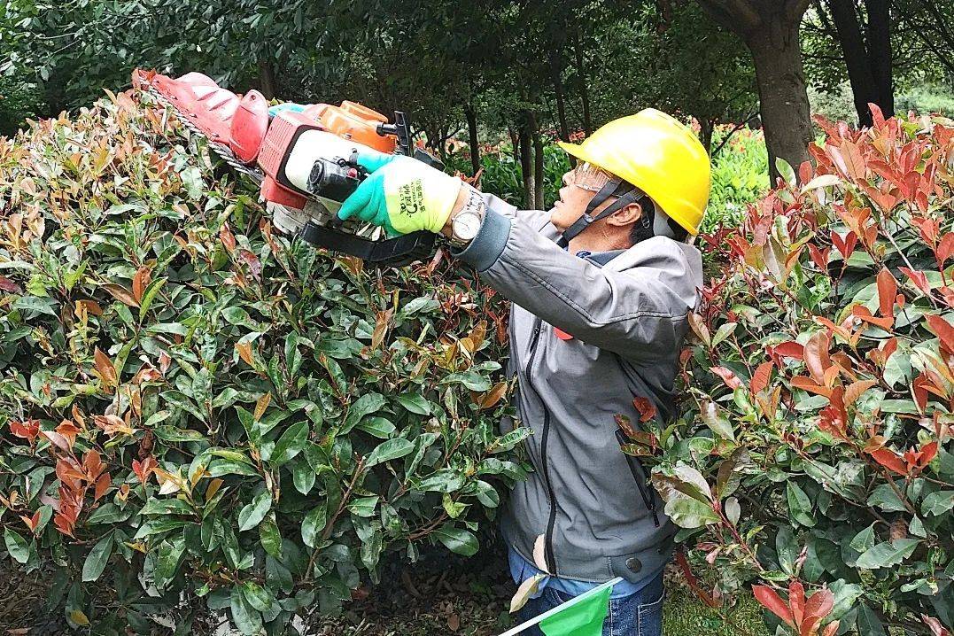 “高手”对决！园林绿化技能大赛他们各显身Kaiyun 开云手(图9)