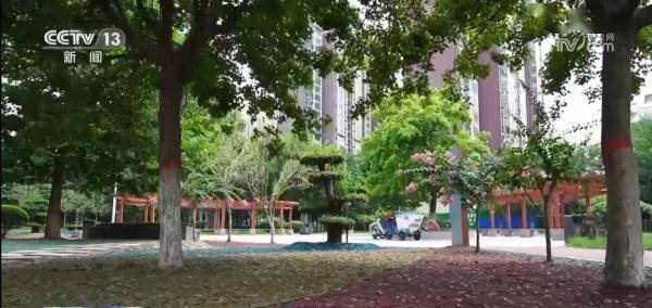 开云 开云体育平台变废为宝 园林绿化垃圾实现循环利用(图2)