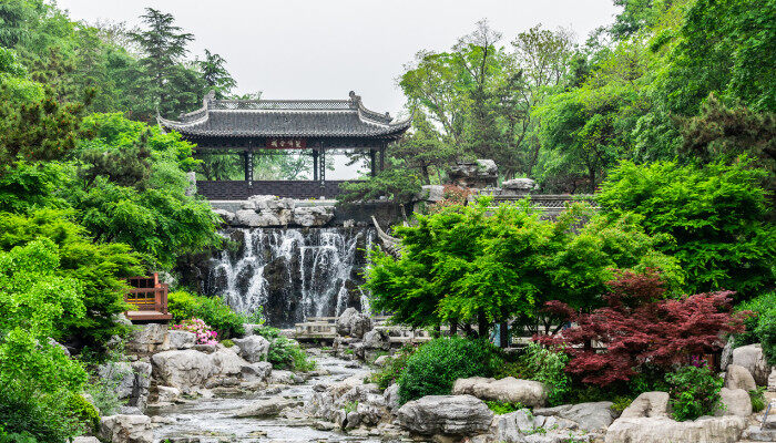 常Kaiyun 开云见园林植物是啥(图1)