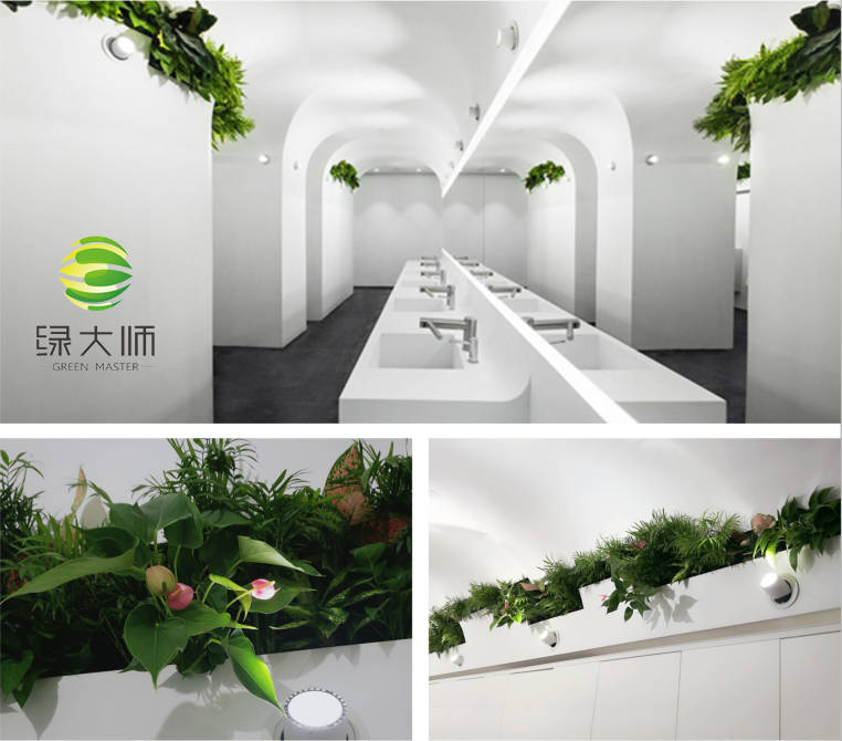Kaiyun 开云体育商场卫生间绿化墙设计(图1)