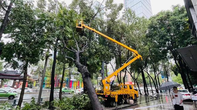 开云体育 开云官网暴雨突袭 树倒挡路 园林“应急队”迅速处置(图3)