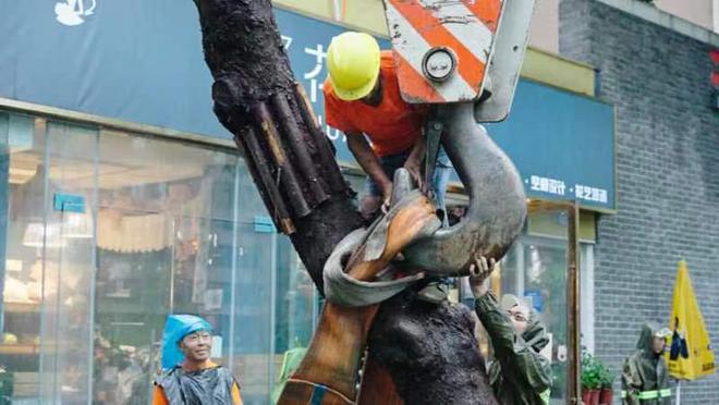 开云体育 开云官网暴雨突袭 树倒挡路 园林“应急队”迅速处置(图4)
