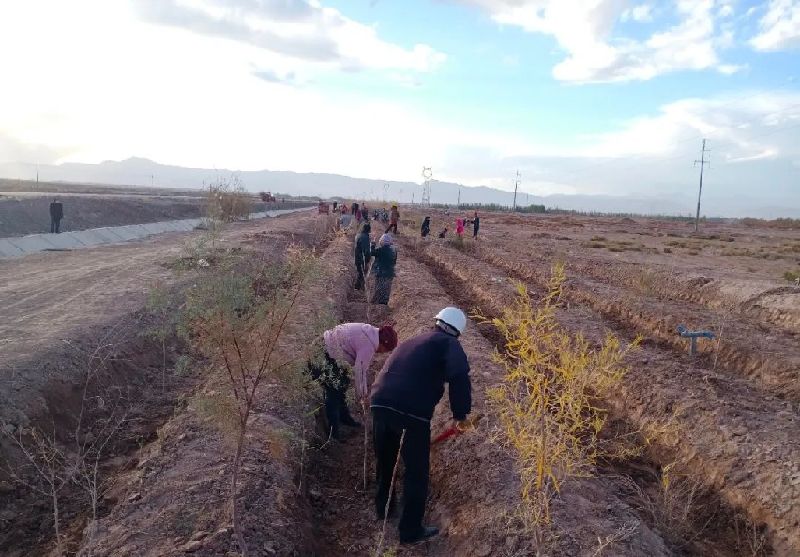 【乡村振兴】植树Kaiyun 开云体育造林播新绿 生态建设谱新篇(图1)