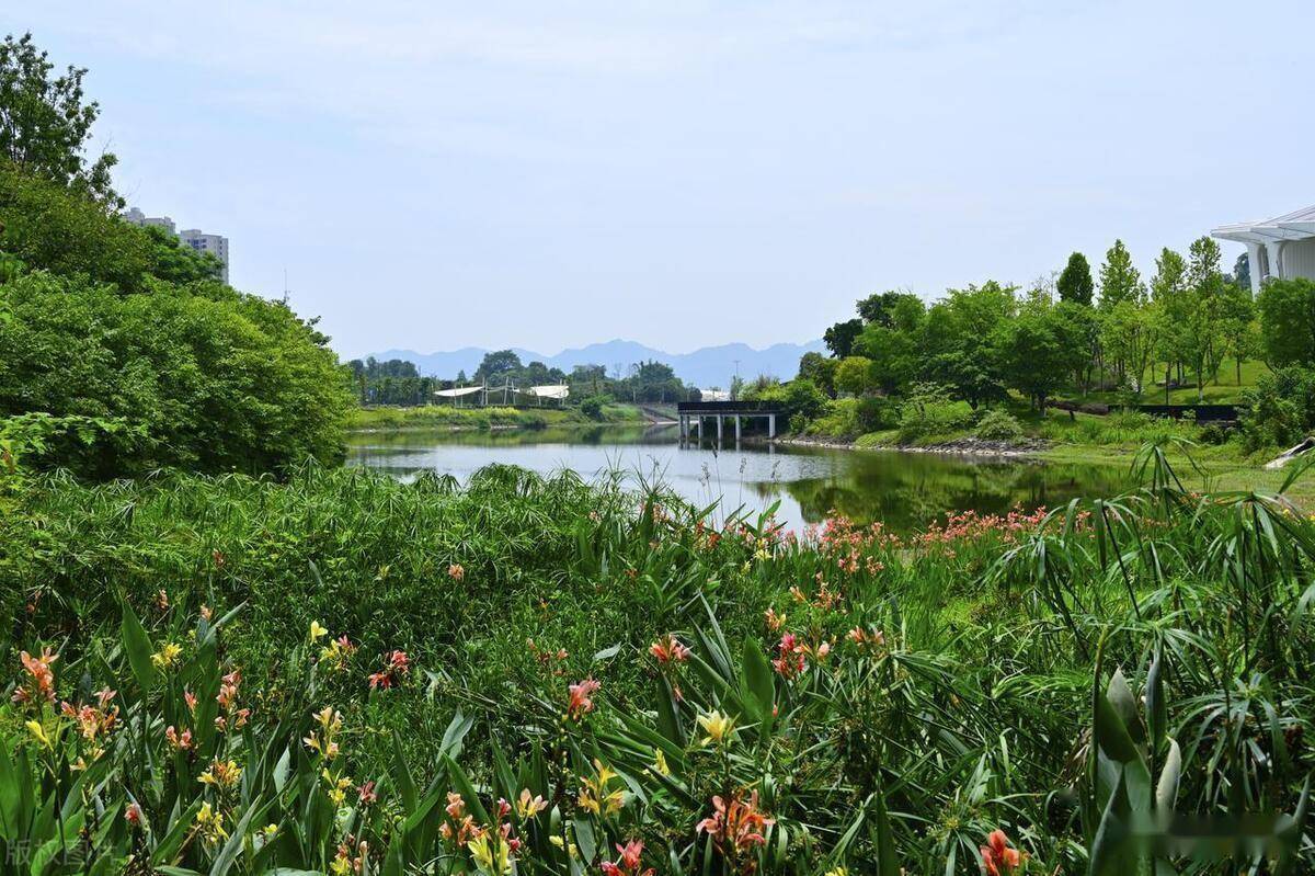 湖北省乡村绿化类型、绿化设计和常用树种选择Kaiyun 开云体育(图3)