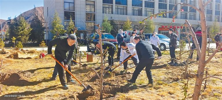 开云 开云体育平台义务植树添新绿(图1)
