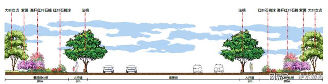 城市道路绿化工程设计第四篇：标准段如何做出新高度Kaiyun 开云体育(图3)