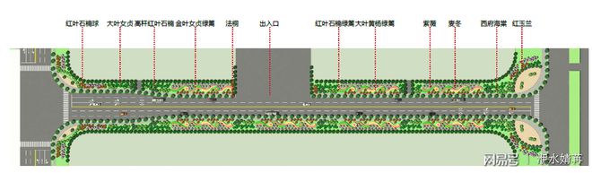 城市道路绿化工程设计第四篇：标准段如何做出新高度Kaiyun 开云体育(图2)