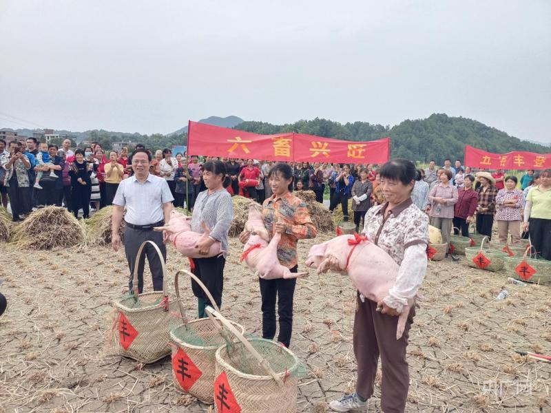 Kaiyun 开云体育和美“湘”村湖南超级稻百亩攻关示范片刷新高产纪录(图3)
