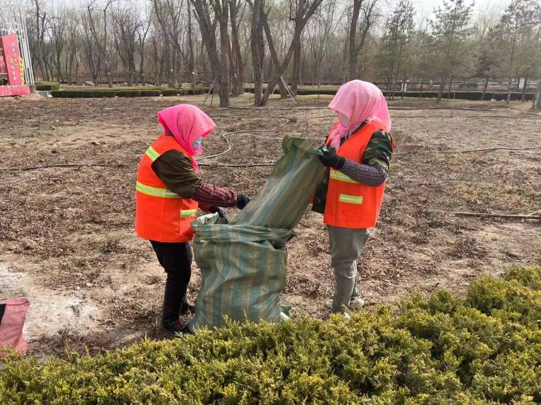 【创建全国文明城开云 开云体育官网市】春风催新绿园林养护补植忙(图2)