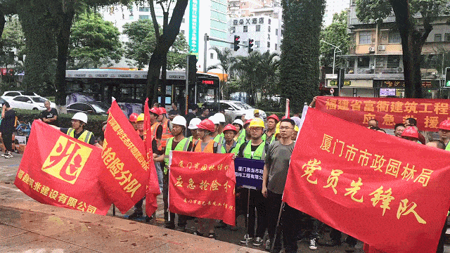 厦门园林绿化救援队驰开云 开云体育平台援泉州(图1)