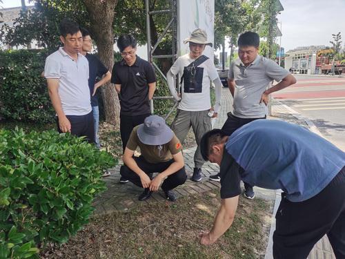 市建开云体育 Kaiyun.com 官网入口设局赴林埭开展园林绿化领域专项检查(图1)