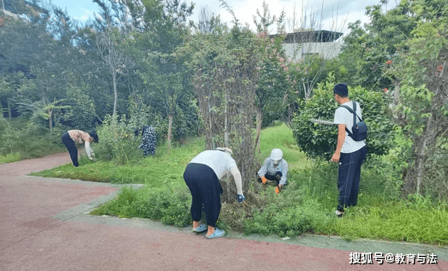 开云体育 Kaiyun.com 官网入口南阳卧龙区光武街道：园林绿化养护 提升市容市貌(图1)