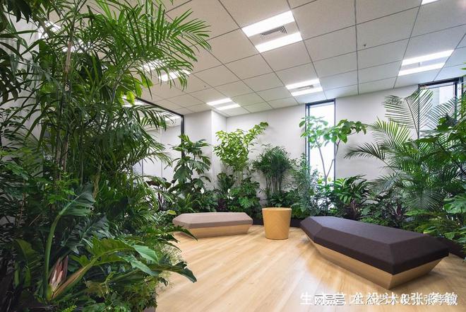 开云体育 开云官网办公室这样设置室内绿化档次氛围一下就上来了！(图1)