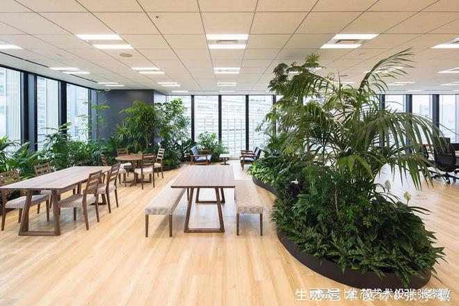 开云体育 开云官网办公室这样设置室内绿化档次氛围一下就上来了！(图3)