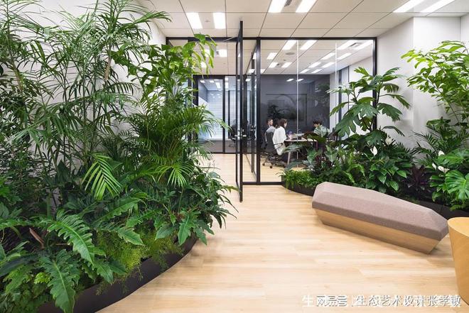 开云体育 开云官网办公室这样设置室内绿化档次氛围一下就上来了！(图2)
