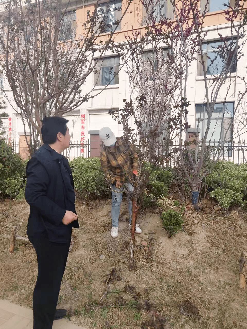 开云体育 开云平台加强精细化管理提升绿化管养水平(图4)