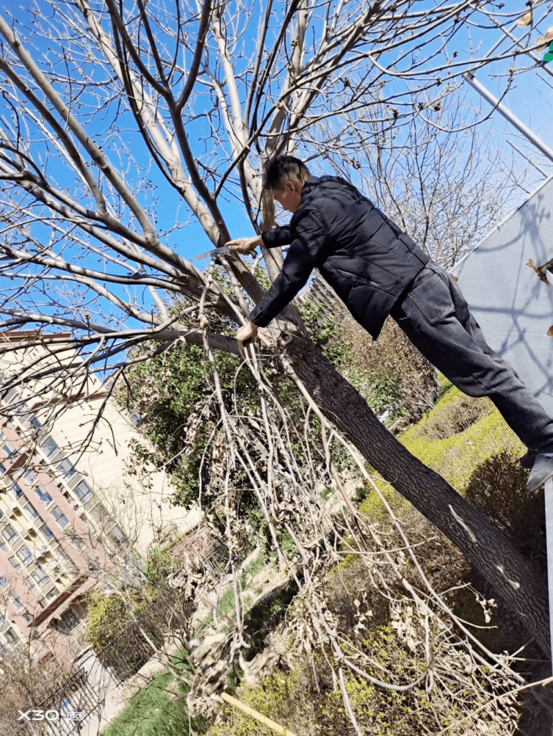 开云体育 开云平台加强精细化管理提升绿化管养水平(图3)