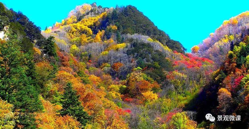 Kaiyun 开云体育【设计规范】城市绿地新分类及特征(图15)