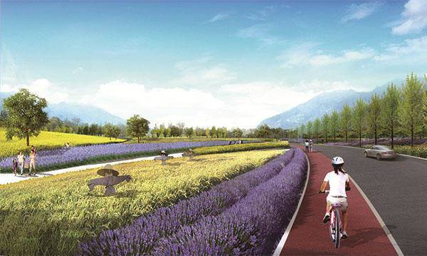 道路绿化设计中Kaiyun 开云植物配置模式(图4)