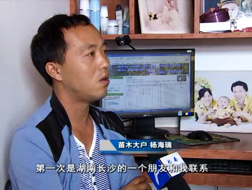 中国园林网托起全国重要苗木花卉开云体育 Kaiyun.com 官网入口生产基地的品牌营销(图1)